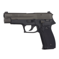PARA BELLUM P226 Early Type GBB Pistol (Black)  