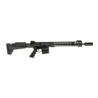 Secutor Rapax AIrsoft XXI M9 (DMR)