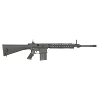 E&C 901 SR-25 M110 DMR AEG (Black) 