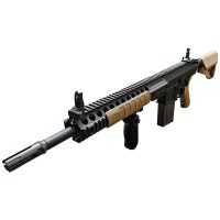 DCA - L129A1 DMR AEG (With G&G SR25 ETU 400fps, Semi Only Base Rifle) 