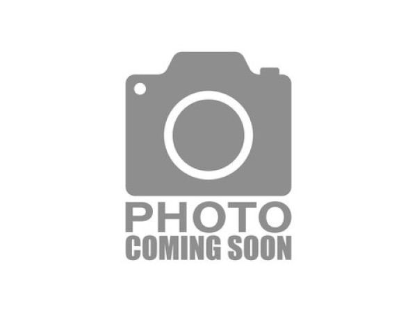 DCA / WELL PRO British L119A2 Style MWS GBB Rifle (Black) 