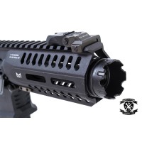 G&G ARP-9 AEG (Black)