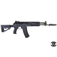 LCT AK-12 AEG 